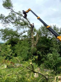 Crane holding tree branch during cutting by Paul O'Donnell Tree Services, Donegal, Ireland