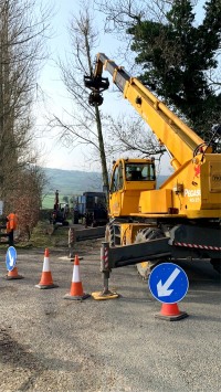 Paul O'Donnell Tree Services - crane used to remove felled tree, Donegal, Ireland
