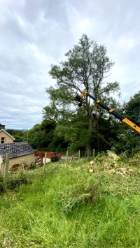 Paul O'Donnell Tree Services, Co Donegal, Ireland